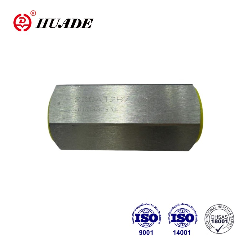 Katup Periksa Galvanis Tipe S: Panduan Praktis untuk Pembeli dan Insinyur